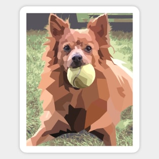 Pomeranian chihuahua Tennis Ball Dog Sticker